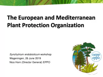 Plant Protection Organization Synchytrium endobioticum workshop  Wageningen, 26 June 2019  Nico