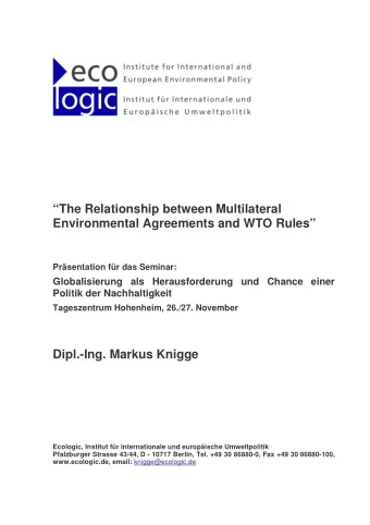 The Relationship between Multilateral  Environmental Agreements and WTO Rules  Prsentation