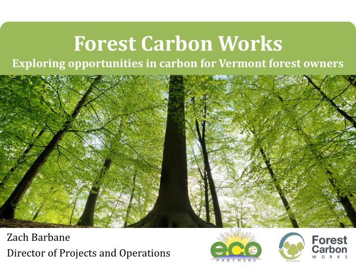 forest carbon works