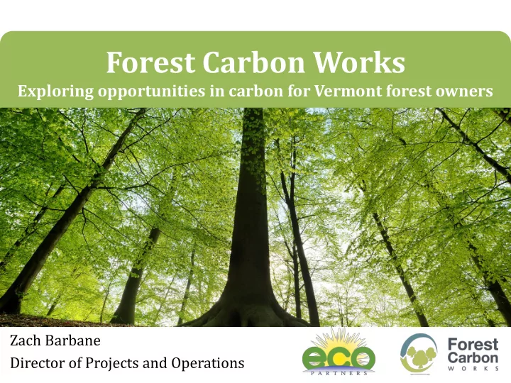 forest carbon works