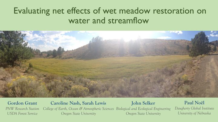 evaluating net effects of wet meadow restoration on water