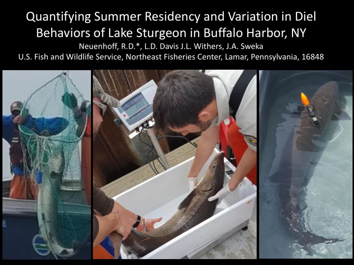 quantifying summer residency and variation in diel