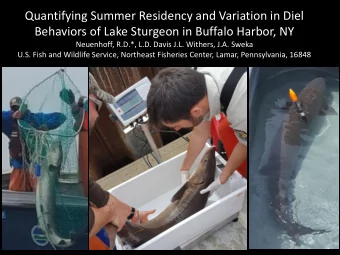 Quantifying Summer Residency and Variation in Diel  Behaviors of Lake Sturgeon in Buffalo Harbor,