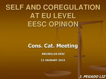SELF AND COREGULATION  AT EU LEVEL  EESC OPINION  Cons. Cat. Meeting  BRUXELLES EESC  13 JAUNARY