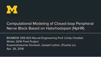 Computational Modeling of Closed-loop Peripheral  Nerve Block Based on Halorhodopsin (NpHR)