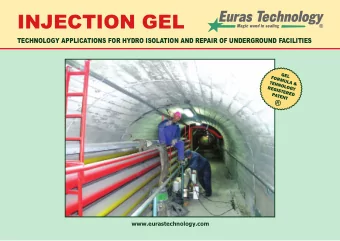 INJECTION GEL  www.eurastechnology.com  WHAT IS  INJECTION GEL?  An injectable gel is a flexible
