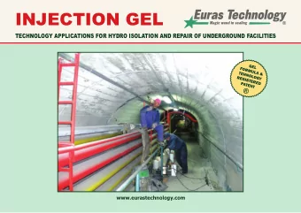 INJECTION GEL  www.eurastechnology.com  WHAT IS  INJECTION GEL?  An injectable gel is a flexible