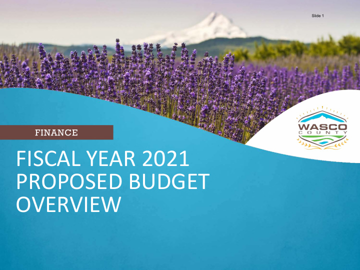 fiscal year 2021 proposed budget overview