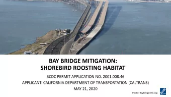 BAY BRIDGE MITIGATION:  SHOREBIRD ROOSTING HABITAT  BCDC PERMIT APPLICATION NO. 2001.008.46