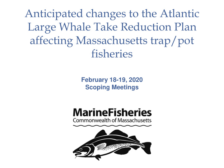 anticipated changes to the atlantic large whale take