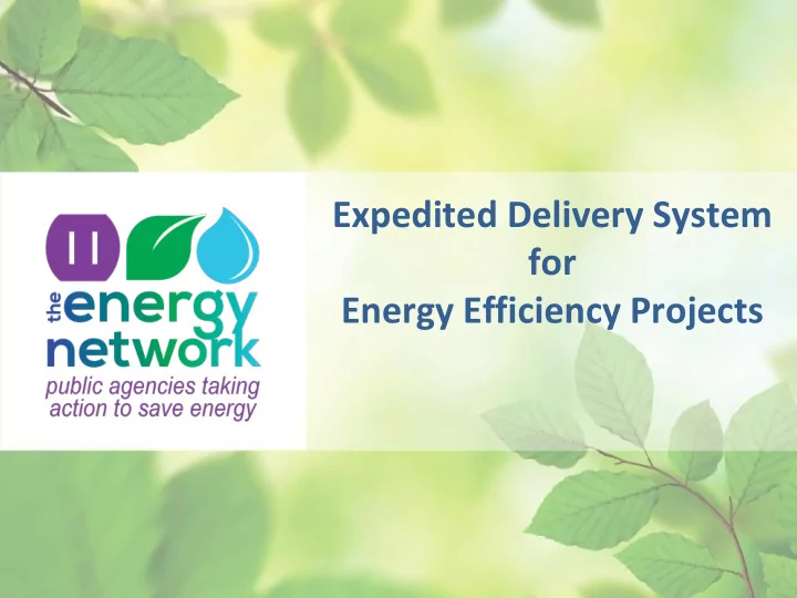 expedited delivery system for energy efficiency projects