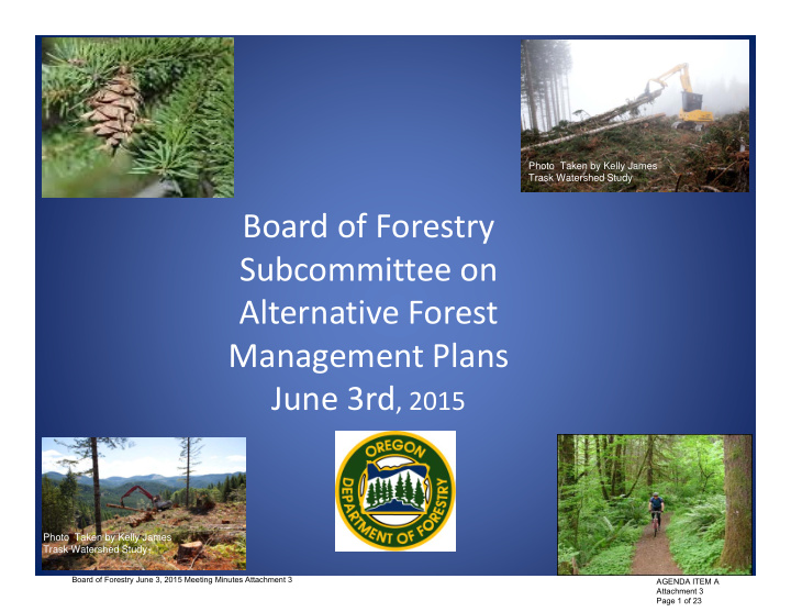 board of forestry subcommittee on alternative forest