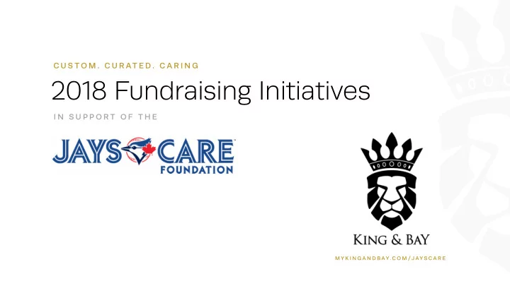 2018 fundraising initiatives