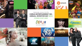 SAFE HARBOUR DISCL  SAFE HARBOUR DISCLOSURE  OSURE  FORWARD-L  FORWARD-LOOKING ST  OOKING