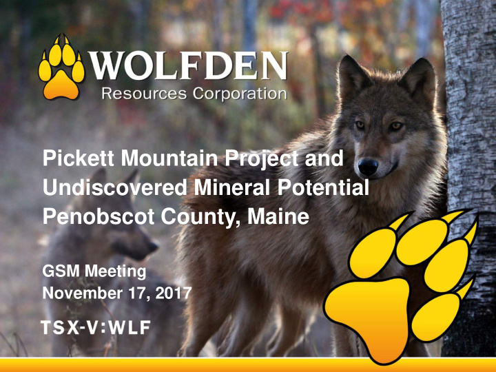 pickett mountain project and undiscovered mineral