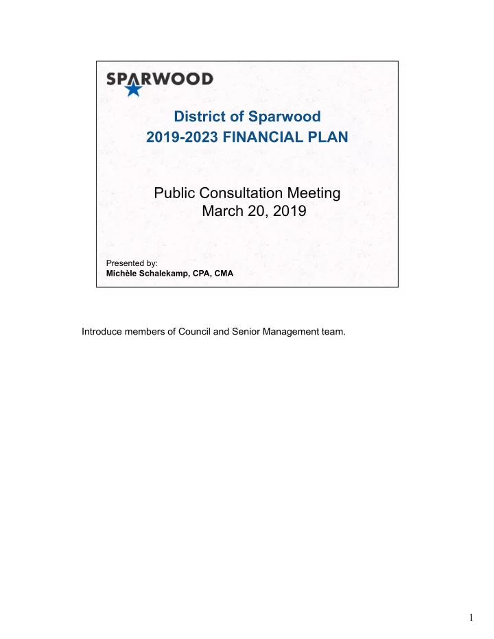 district of sparwood 2019 2023 financial plan public