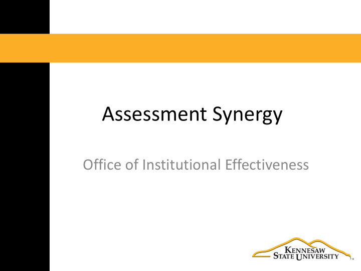 assessment synergy