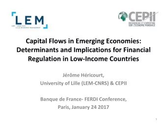 Capital Flows in Emerging Economies:  Determinants and Implications for Financial  Regulation in