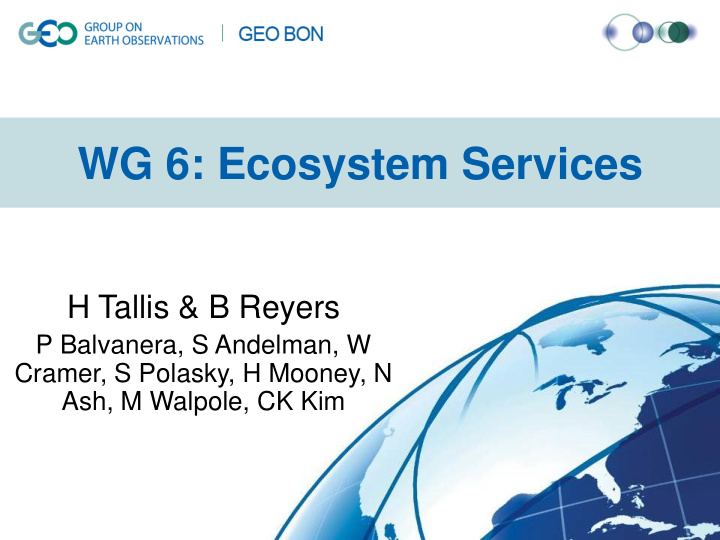 wg 6 ecosystem services