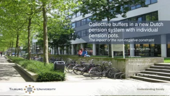 Collective buffers in a new Dutch  pension system with individual  pension pots.  The impact of the