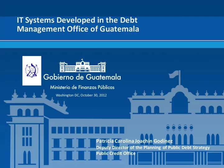 it systems developed in the debt management office of