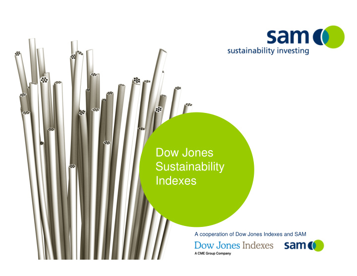 dow jones sustainability indexes