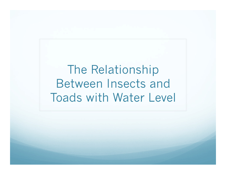 the relationship between insects and