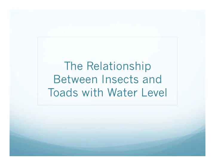 the relationship between insects and