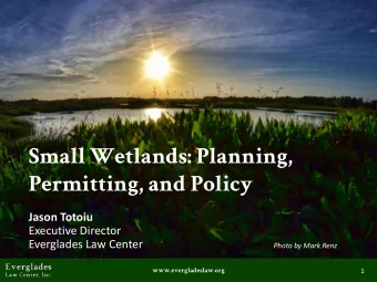 Small Wetlands: Planning,  Permitting, and Policy  Jason Totoiu  Executive Director  Everglades Law