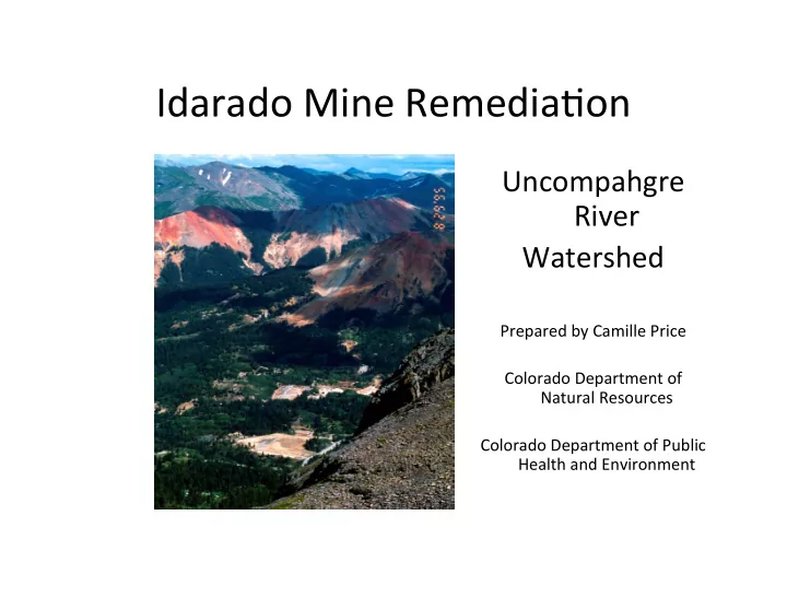idarado mine remedia on
