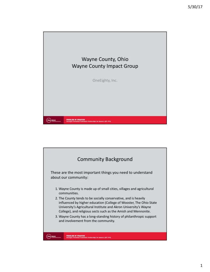 wayne county ohio wayne county impact group