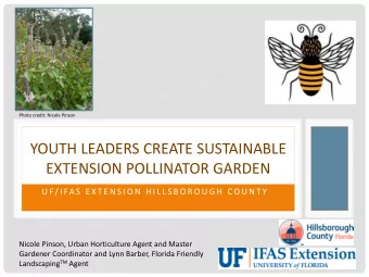 YOUTH LEADERS CREATE SUSTAINABLE  LY N N  B A R B E R  EXTENSION POLLINATOR GARDEN  N I C O L E  P