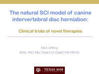 the natural sci model of canine