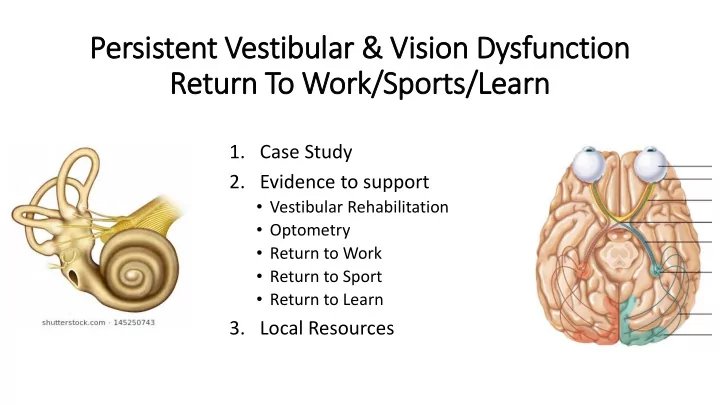 persistent t vestibular amp vision dysfu functi tion