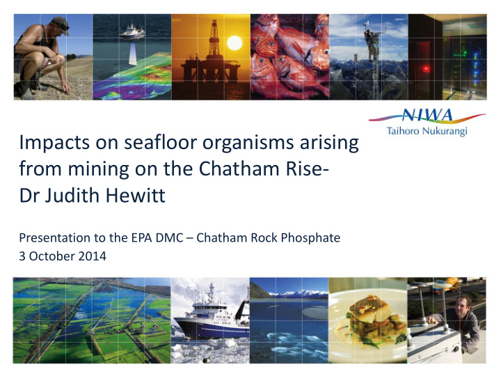 impacts on seafloor organisms arising from mining on the