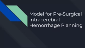 Model for Pre-Surgical  Intracerebral  Hemorrhage Planning  Overview: The Phantom Brain  Design