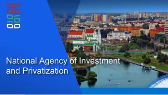 National Agency of Investment  and Privatization  Insert Risk Classification  Agriculture Division