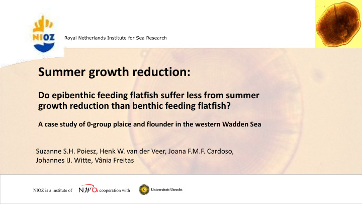summer growth reduction