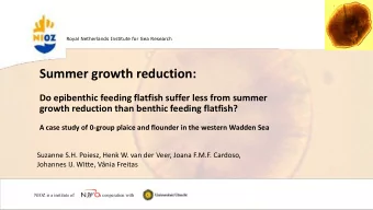 Summer growth reduction:  Do epibenthic feeding flatfish suffer less from summer  growth reduction