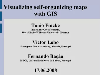 Visualizing self-organizing maps  with GIS  Tonio Fincke  Institut fr Geoinformatik,