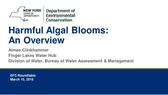 Harmful Algal Blooms:  An Overview  Aimee Clinkhammer  Finger Lakes Water Hub  Division of Water,
