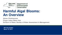 harmful algal blooms an overview