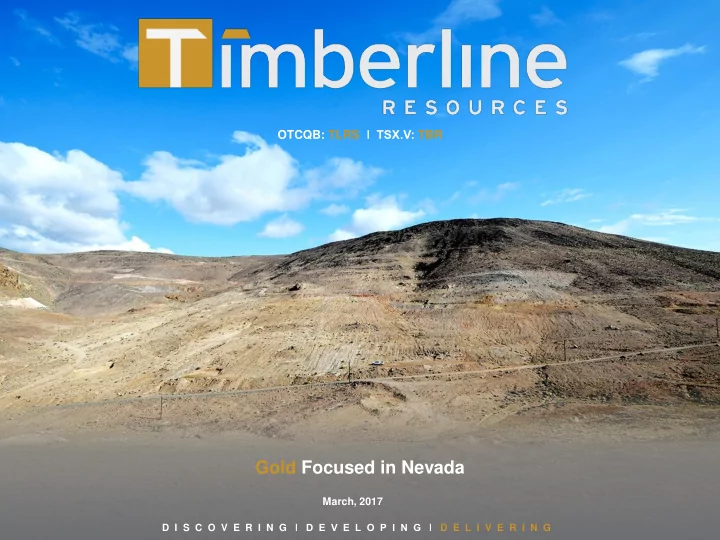 gold focused in nevada
