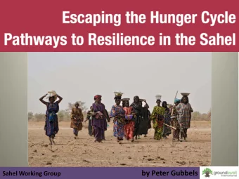 Sahel Working Group by Peter Gubbels  Why this Research and Advocacy  Initiative?  What has to