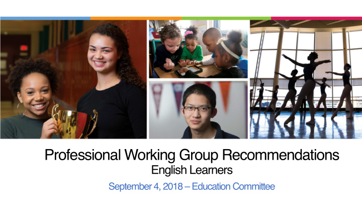professional working group recommendations