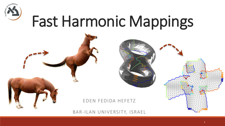 fast harmonic mappings