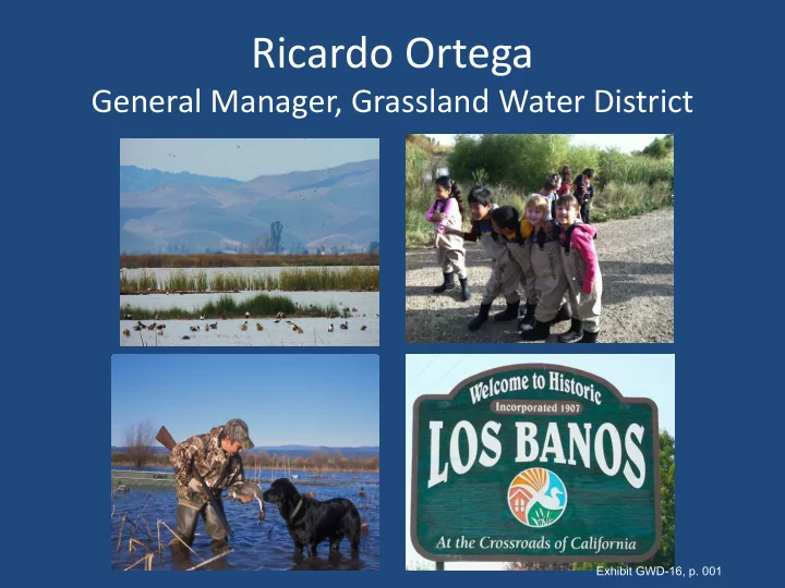 ricardo ortega