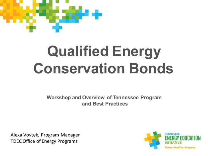 qualified energy conservation bonds