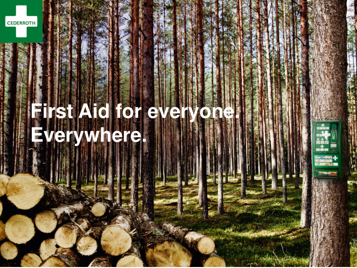 everywhere first aid products for work places