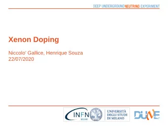 Xenon Doping  Niccolo' Gallice, Henrique Souza  22/07/2020  You Inst Logo  Collected light